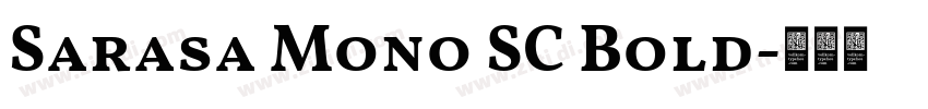 Sarasa Mono SC Bold字体转换